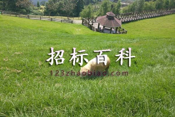 公共资源交易管理局